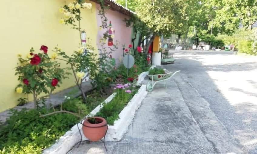 Meteora Garden Bed & Breakfast Kalampáka Luaran gambar