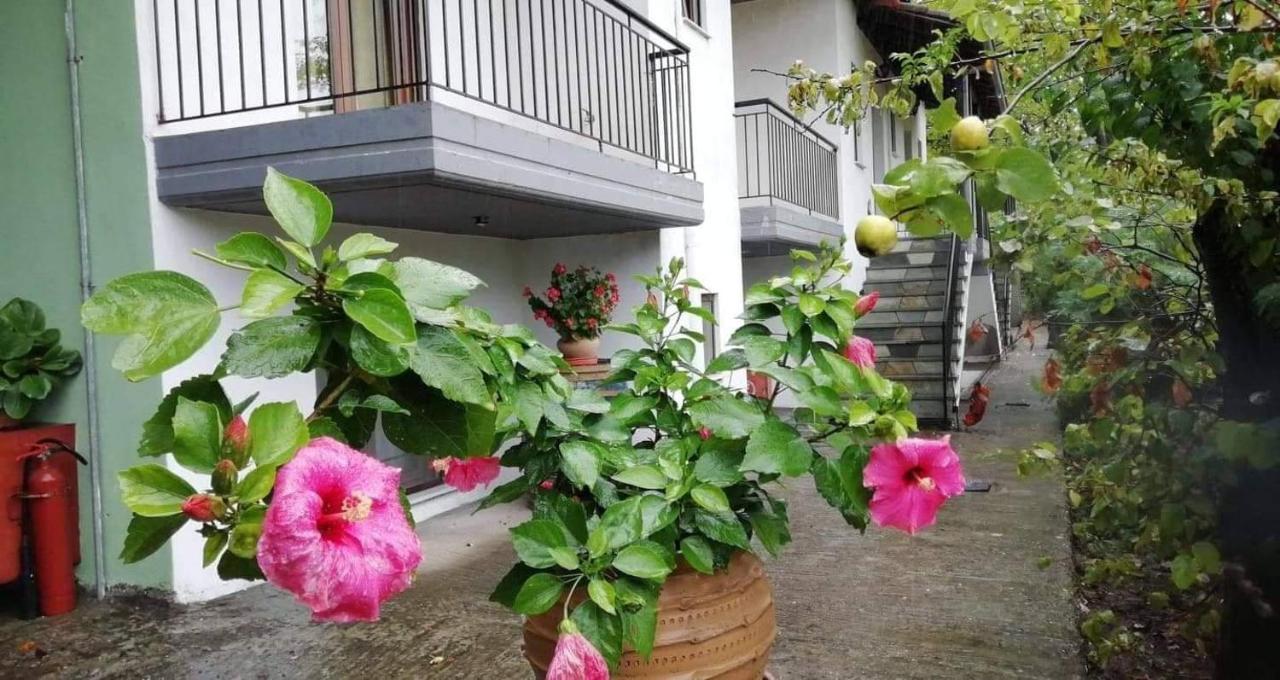 Meteora Garden Bed & Breakfast Kalampáka Luaran gambar